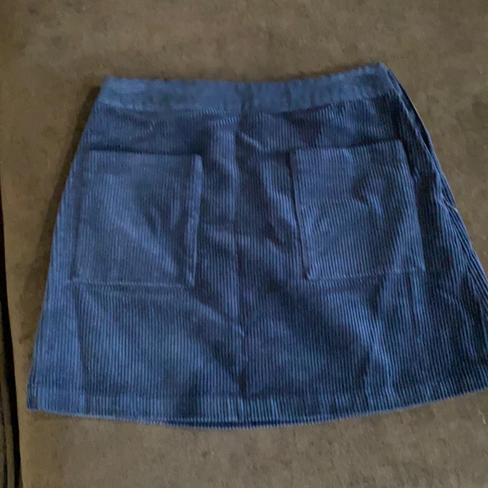 Velvety skirt